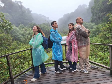 Ponchos on, looking up into the misty moss forest - lifeonwheel.com