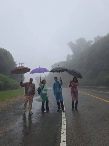 Umbrellas up on the fog-covered mountain road - lifeonwheel.com