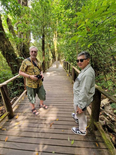 Two guests pausing on the raised forest walkway - lifeonwheel.com