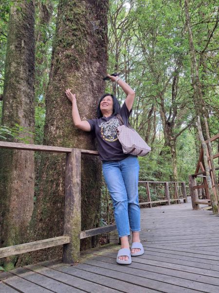 Reaching up to touch a moss-covered tree - lifeonwheel.com