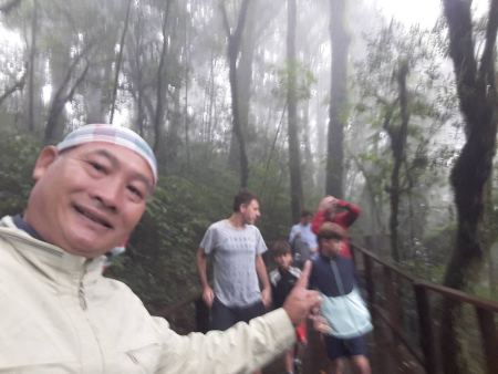 Our guide with guests on the misty forest steps - lifeonwheel.com