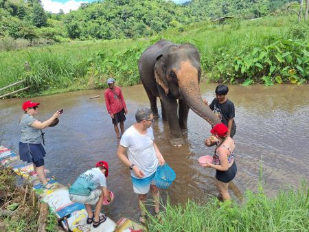 Elephant Care - photo 1 - lifeonwheel.com
