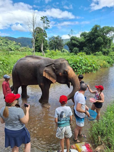 Elephant Care - photo 2 - lifeonwheel.com