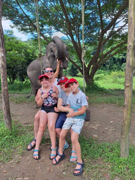 Elephant Care - photo 3 - lifeonwheel.com