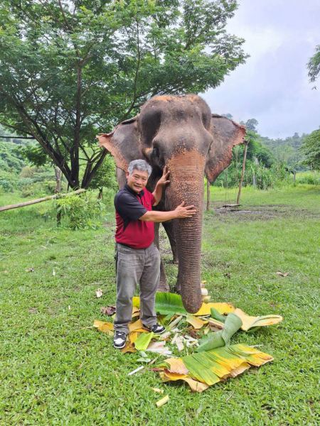 Elephant Care - photo 11 - lifeonwheel.com