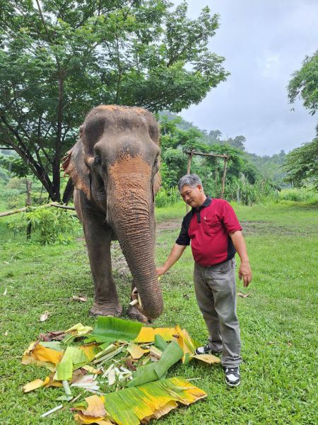 Elephant Care - photo 15 - lifeonwheel.com