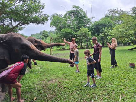 Elephant Care - photo 16 - lifeonwheel.com