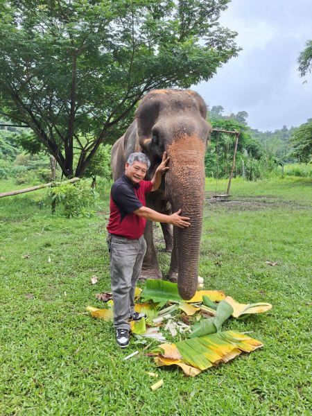 Elephant Care - photo 17 - lifeonwheel.com