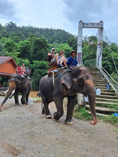 Elephant Care - photo 18 - lifeonwheel.com