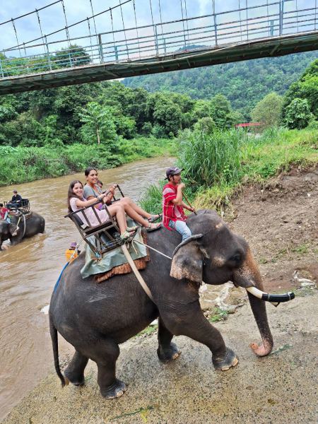 Elephant Care - photo 19 - lifeonwheel.com