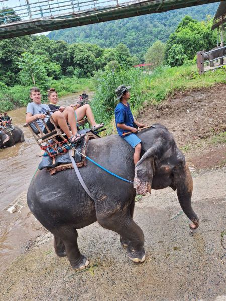 Elephant Care - photo 20 - lifeonwheel.com