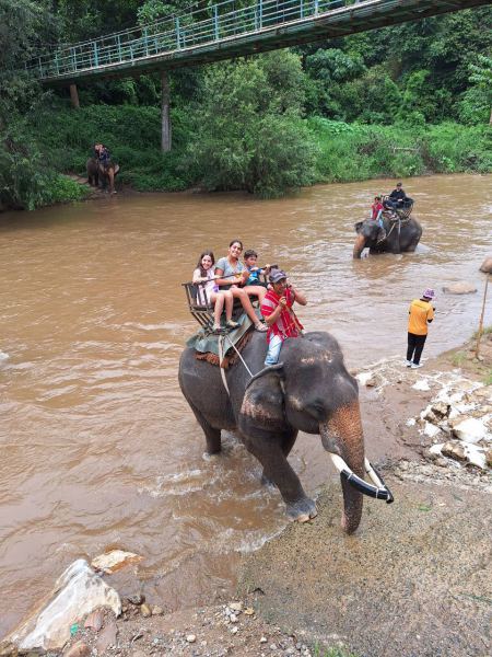 Elephant Care - photo 21 - lifeonwheel.com