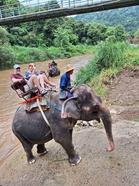 Elephant Care - photo 22 - lifeonwheel.com