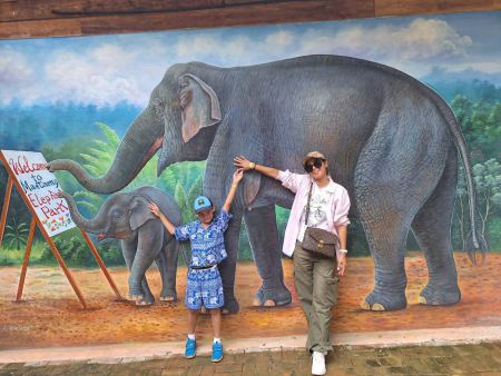 Elephant Care - photo 23 - lifeonwheel.com