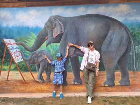 Elephant Care - photo 24 - lifeonwheel.com