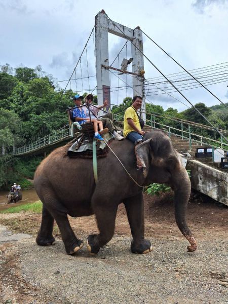 Elephant Care - photo 25 - lifeonwheel.com