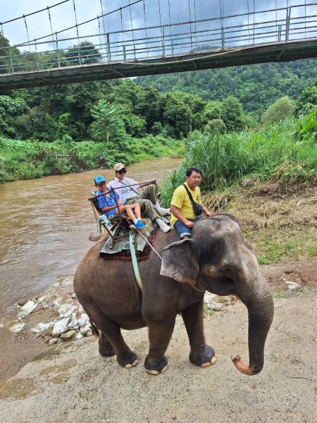 Elephant Care - photo 26 - lifeonwheel.com