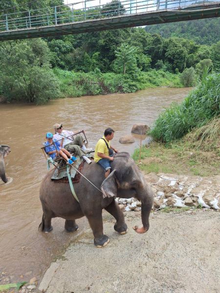Elephant Care - photo 27 - lifeonwheel.com