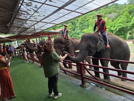 Elephant Care - photo 29 - lifeonwheel.com