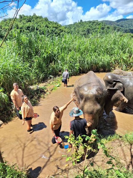 Elephant Care - photo 31 - lifeonwheel.com