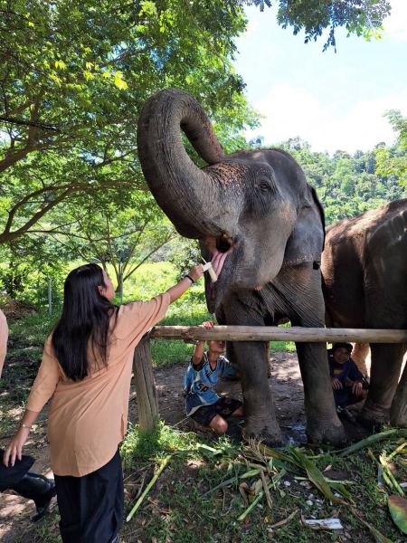 Elephant Care - photo 32 - lifeonwheel.com