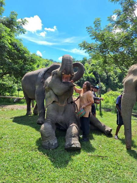 Elephant Care - photo 33 - lifeonwheel.com