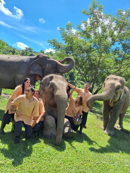 Elephant Care - photo 34 - lifeonwheel.com