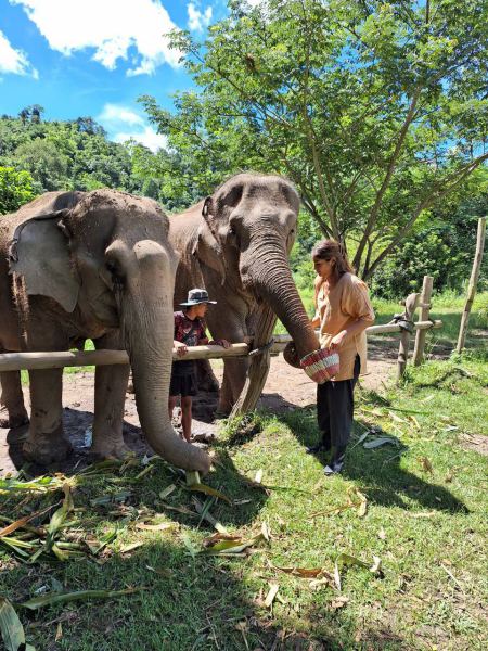 Elephant Care - photo 35 - lifeonwheel.com
