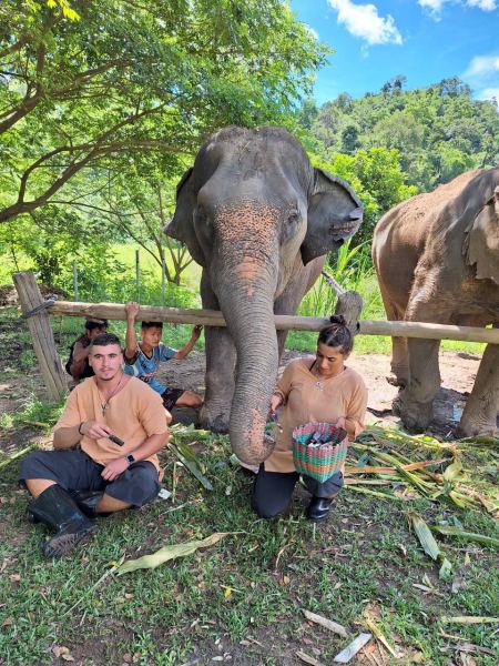 Elephant Care - photo 36 - lifeonwheel.com