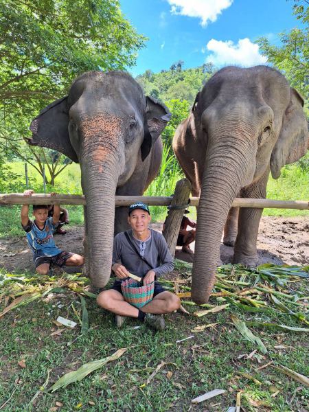 Elephant Care - photo 37 - lifeonwheel.com