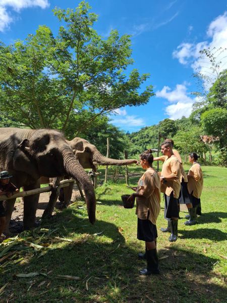 Elephant Care - photo 38 - lifeonwheel.com