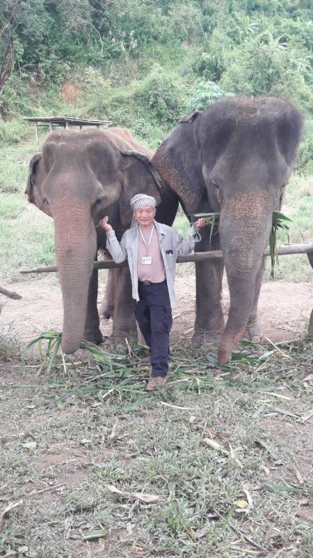 Elephant Care - photo 42 - lifeonwheel.com