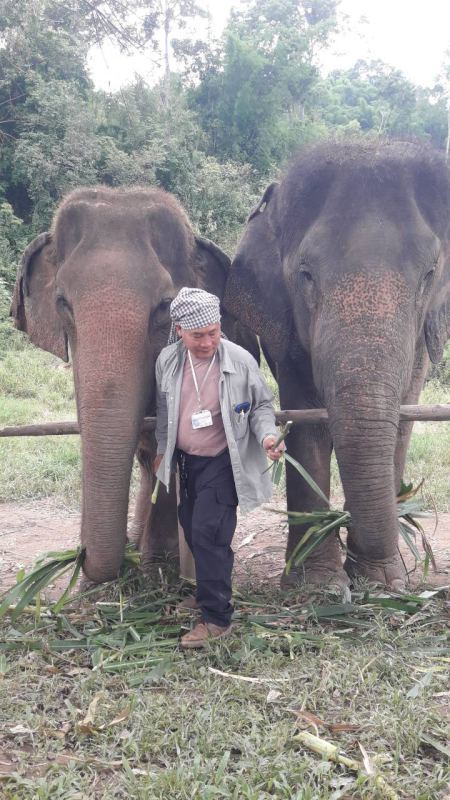 Elephant Care - photo 44 - lifeonwheel.com
