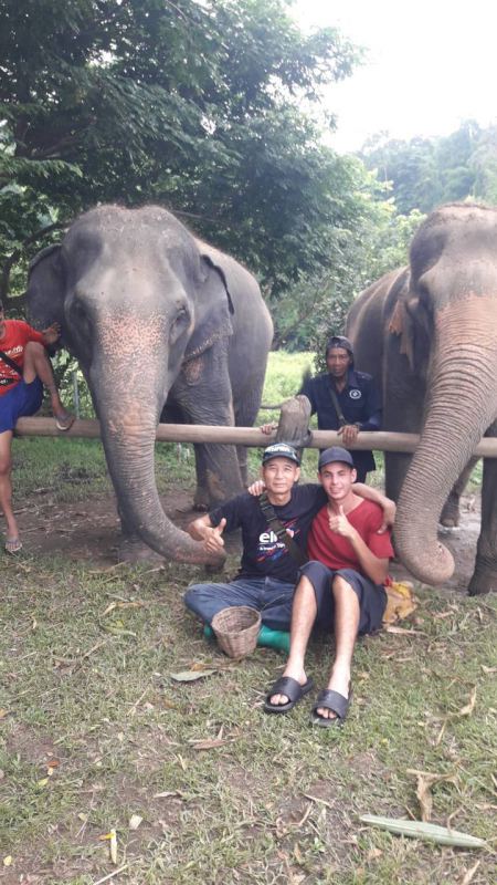 Elephant Care - photo 50 - lifeonwheel.com