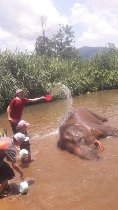 Elephant Care - photo 51 - lifeonwheel.com