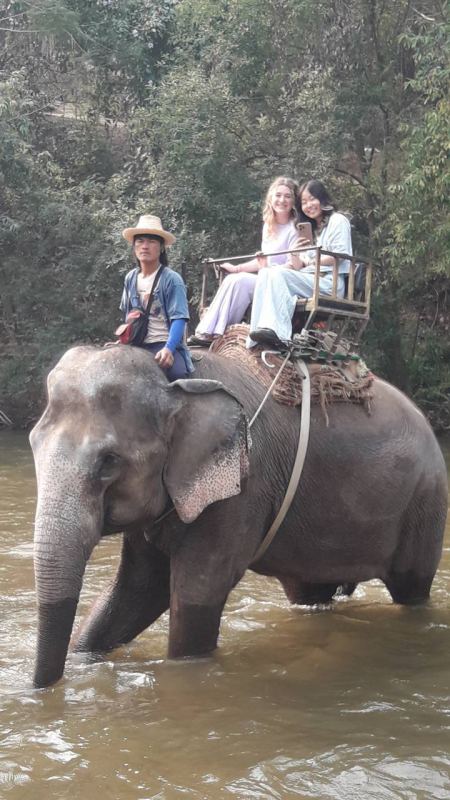 Elephant Care - photo 55 - lifeonwheel.com