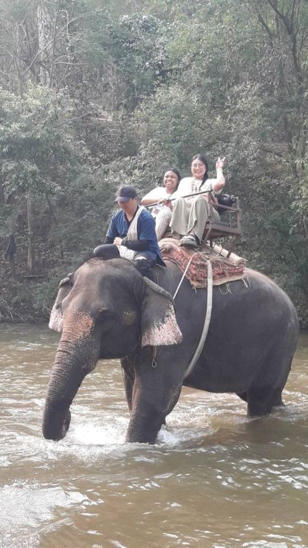 Elephant Care - photo 56 - lifeonwheel.com