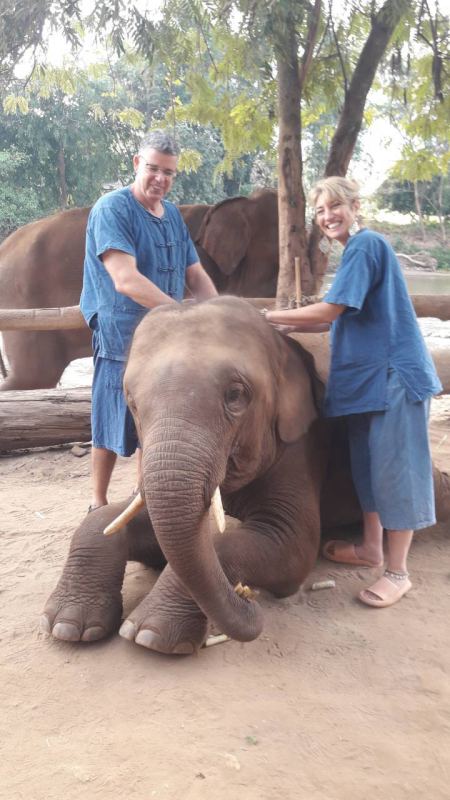 Elephant Care - photo 57 - lifeonwheel.com