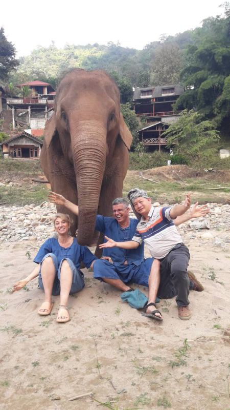 Elephant Care - photo 58 - lifeonwheel.com