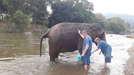 Elephant Care - photo 59 - lifeonwheel.com