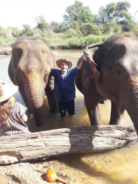 Elephant Care - photo 60 - lifeonwheel.com
