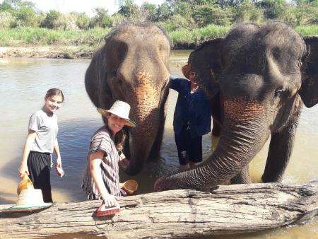 Elephant Care - photo 62 - lifeonwheel.com