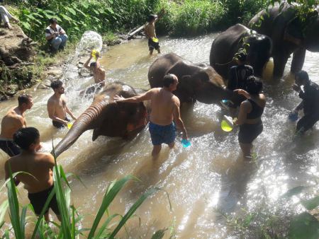Elephant Care - photo 64 - lifeonwheel.com