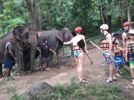 Elephant Care - photo 65 - lifeonwheel.com