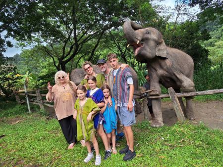 Elephant Care - photo 68 - lifeonwheel.com
