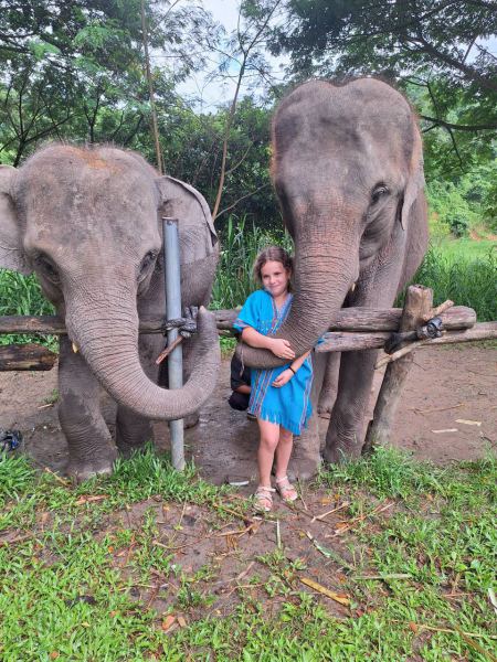 Elephant Care - photo 69 - lifeonwheel.com