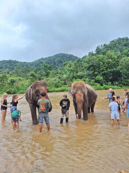 Elephant Care - photo 76 - lifeonwheel.com
