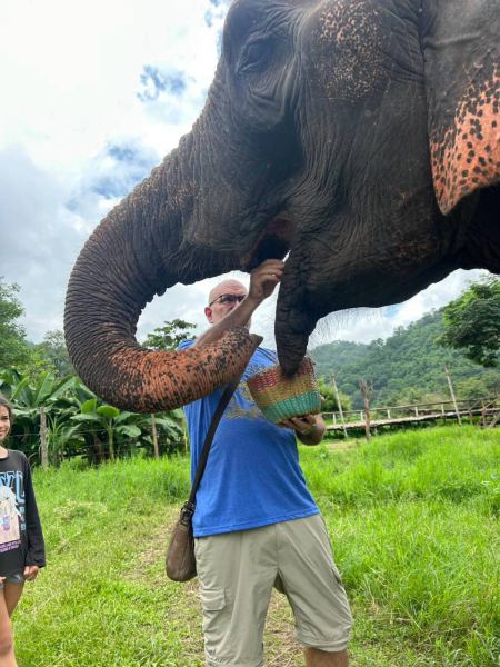 Elephant Care - photo 80 - lifeonwheel.com