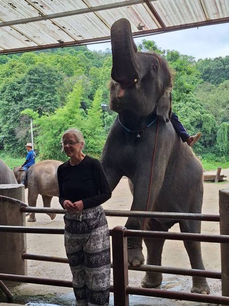 Elephant Care - photo 83 - lifeonwheel.com