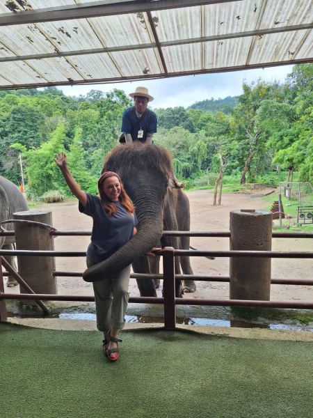 Elephant Care - photo 84 - lifeonwheel.com